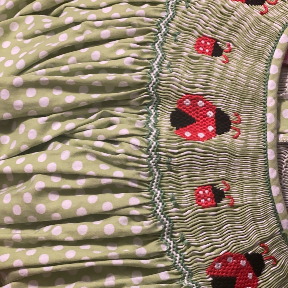 Lady bug smocked dress